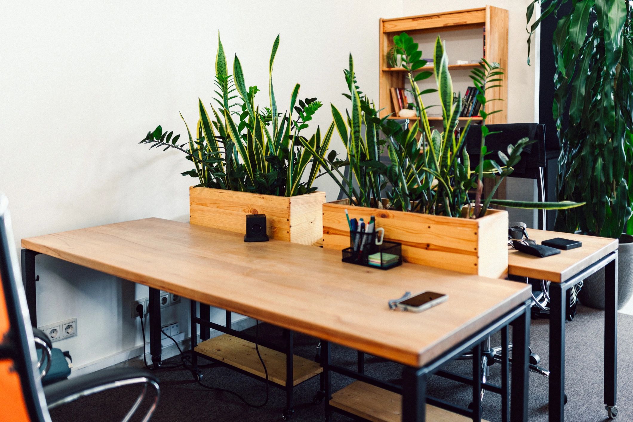Green and welcoming workspace with plants and natural light